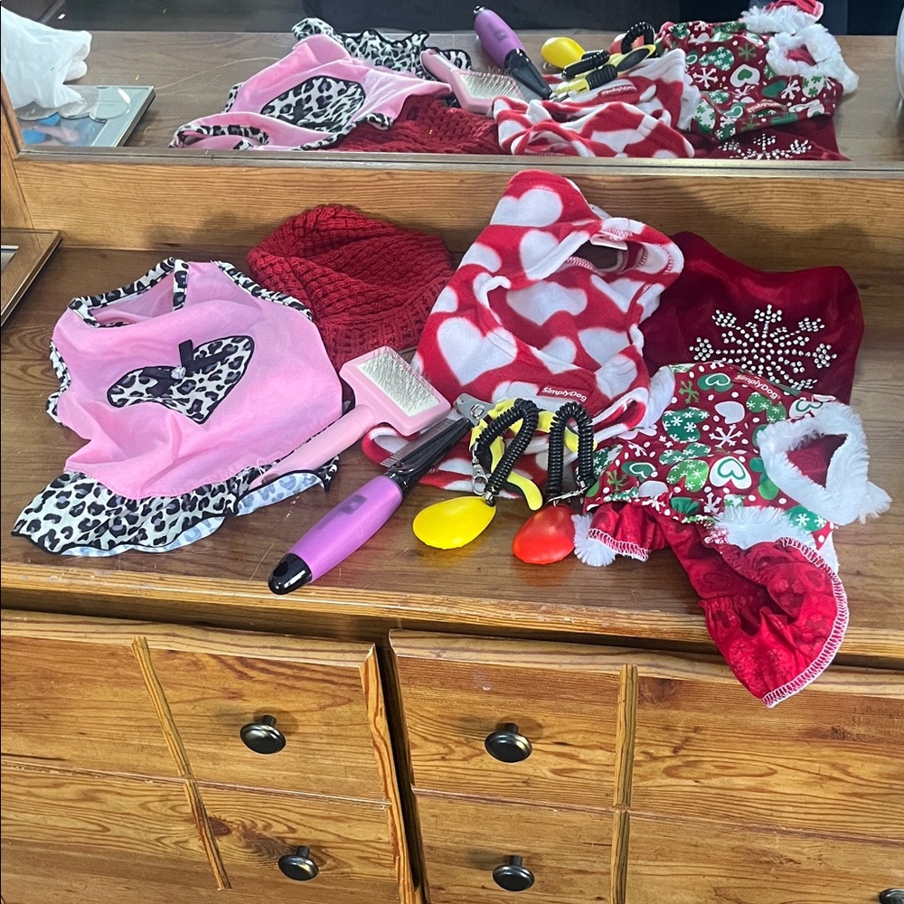 Festive Pet Apparel Bundle
